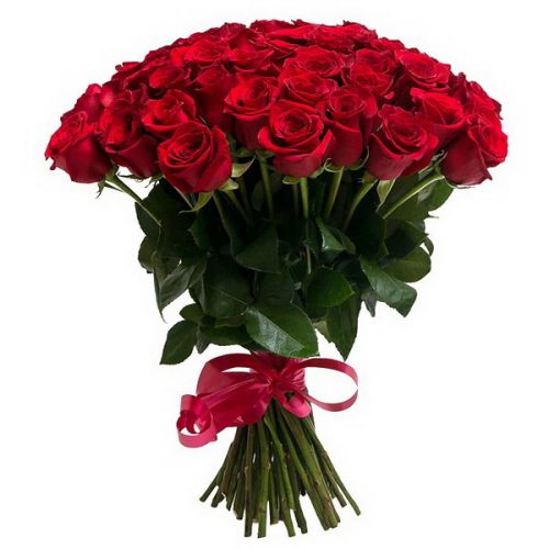 Букет 41 красная роза - купить с быстрой доставкой по Волхову