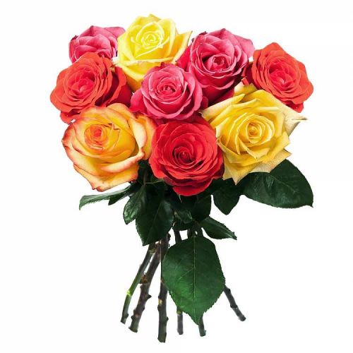 Заказать с доставкой 9 разноцветных роз по Волхову